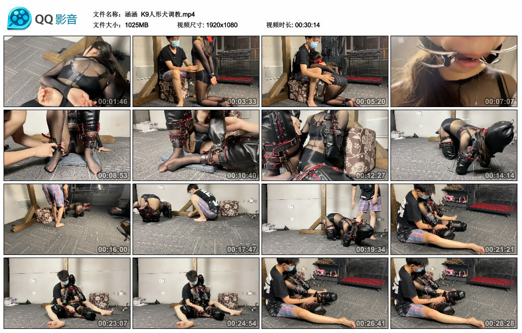 【涵涵】K9人形犬