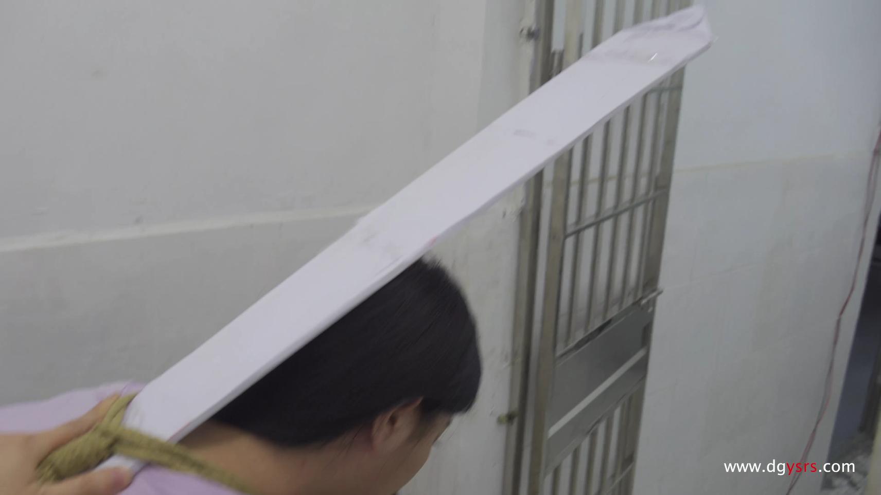 【艺束人生】2023_11期视频  情之伤杀人女犯-楚楚（下）